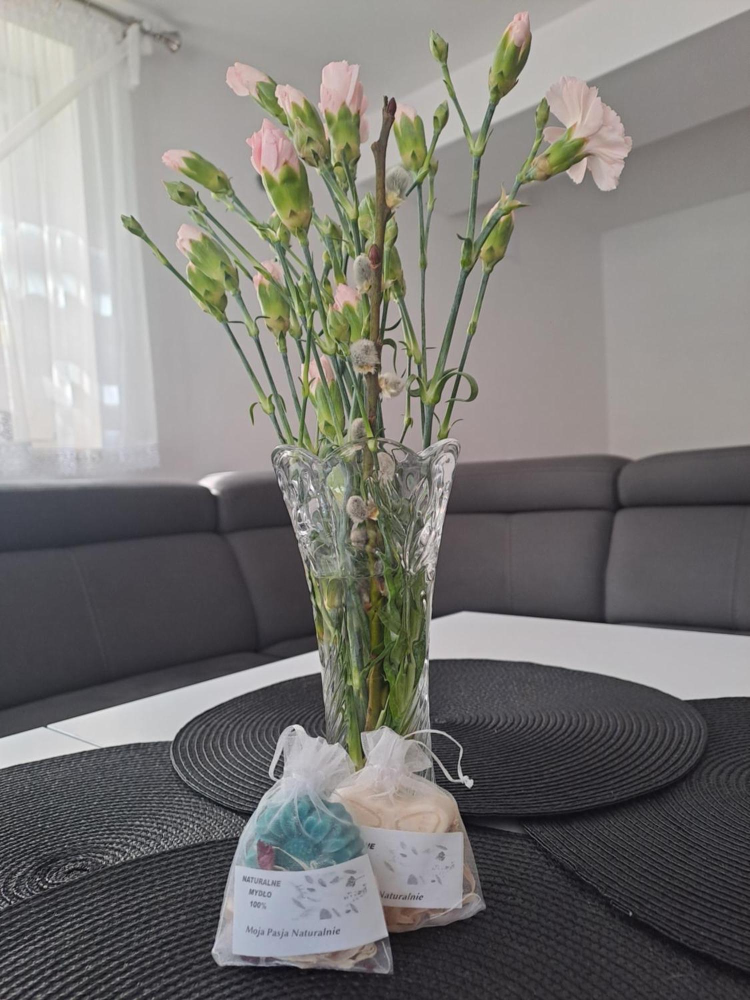 Mieszkanie Z Niezaleznym Wejsciem Apartment